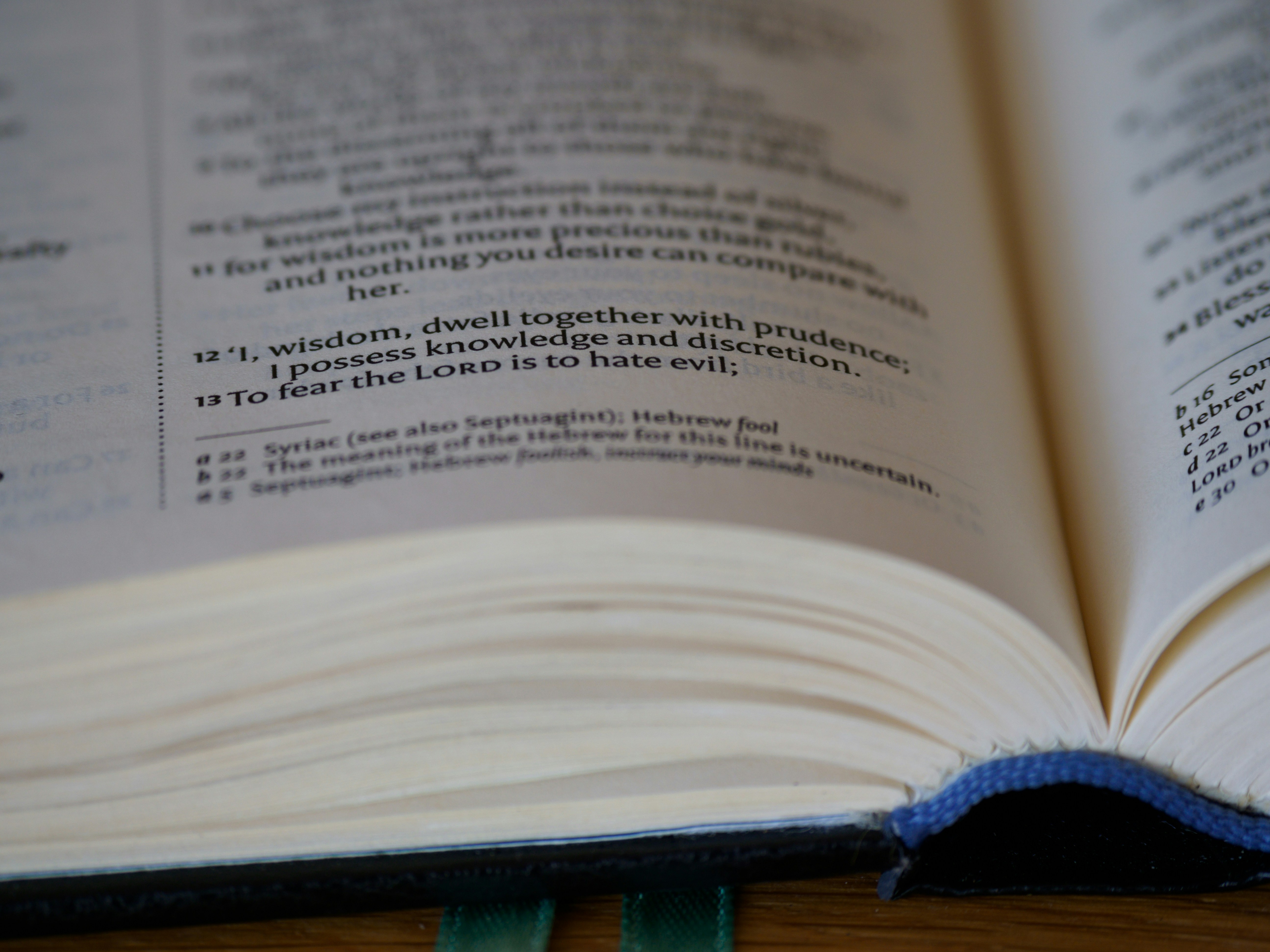 Photo by brett_jordan