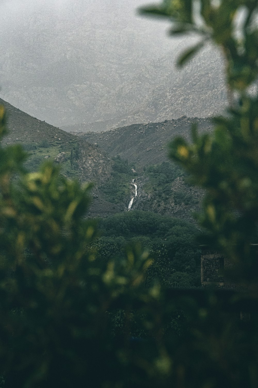 a person walking on a path in a forest