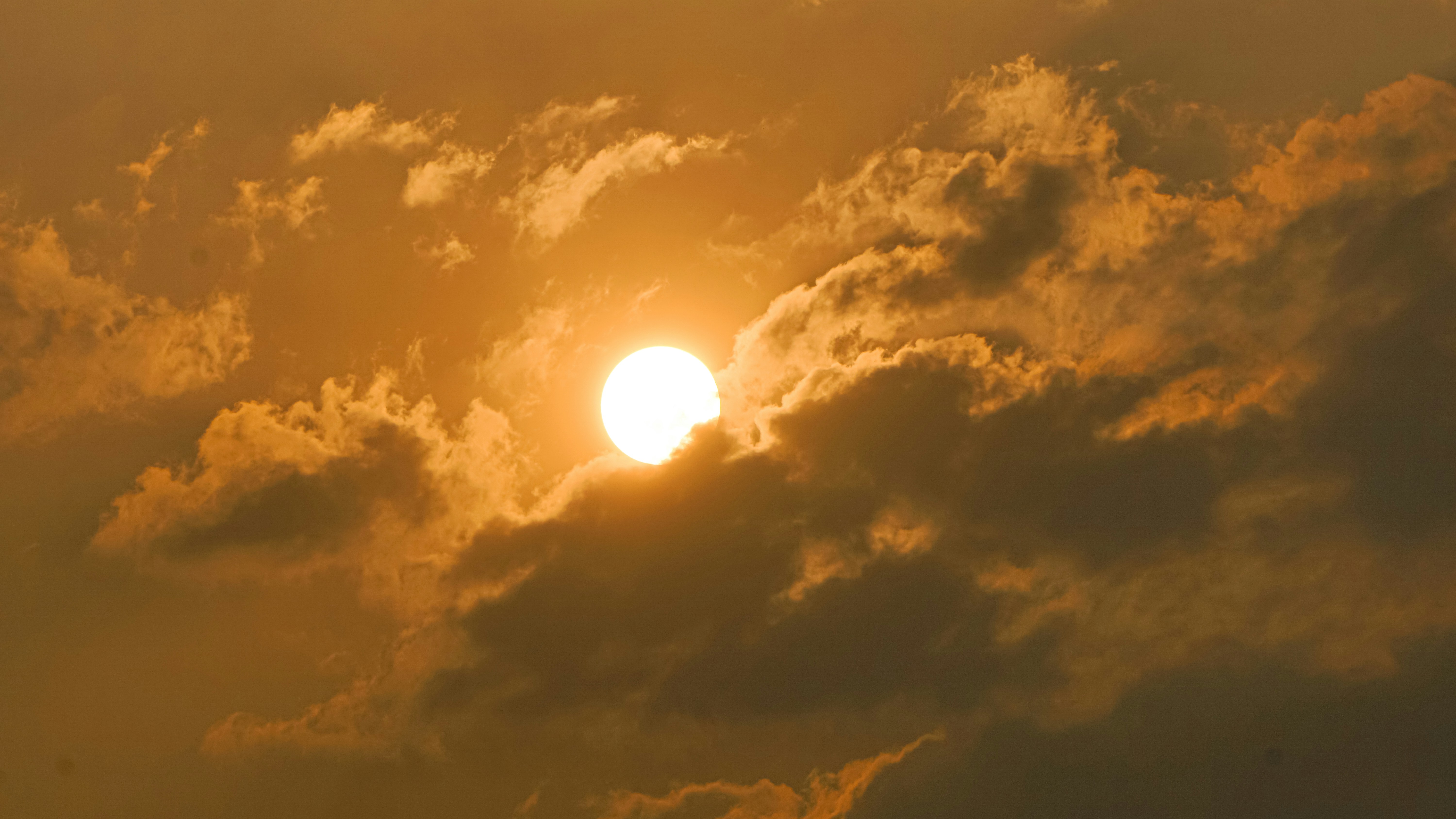 Photo by sushant_shahane