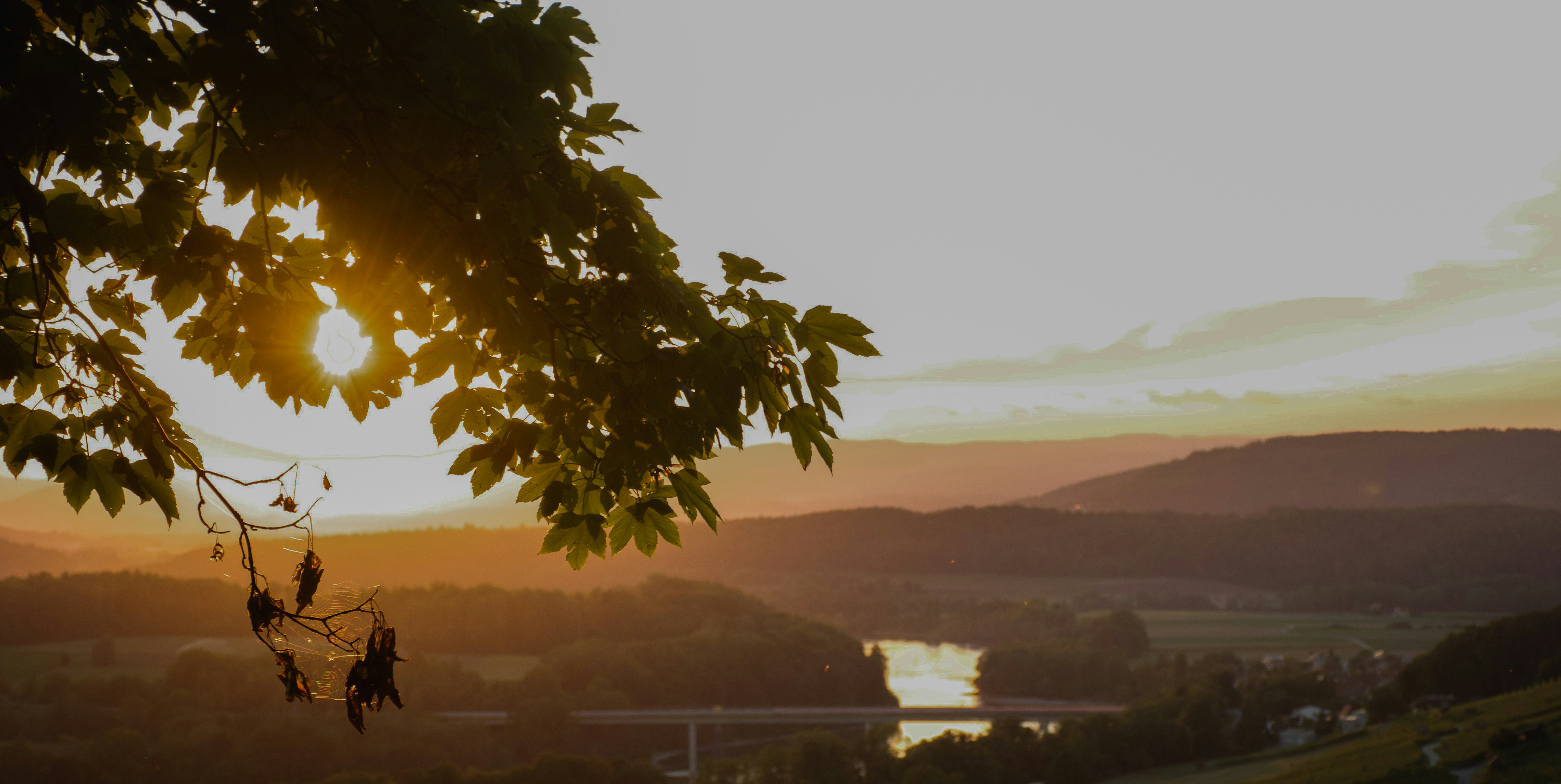 Photo by wheresalina