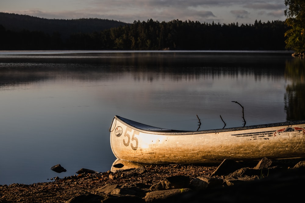 a boat on the shore of a lake