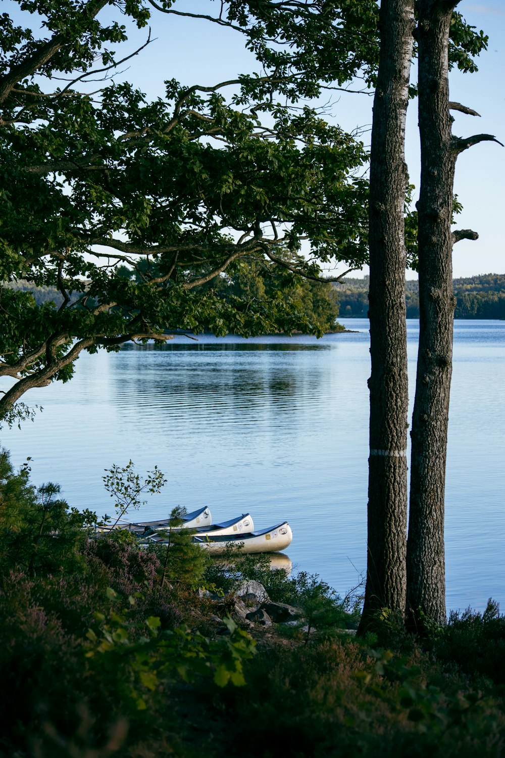 a boat sits on the shore of a lake
