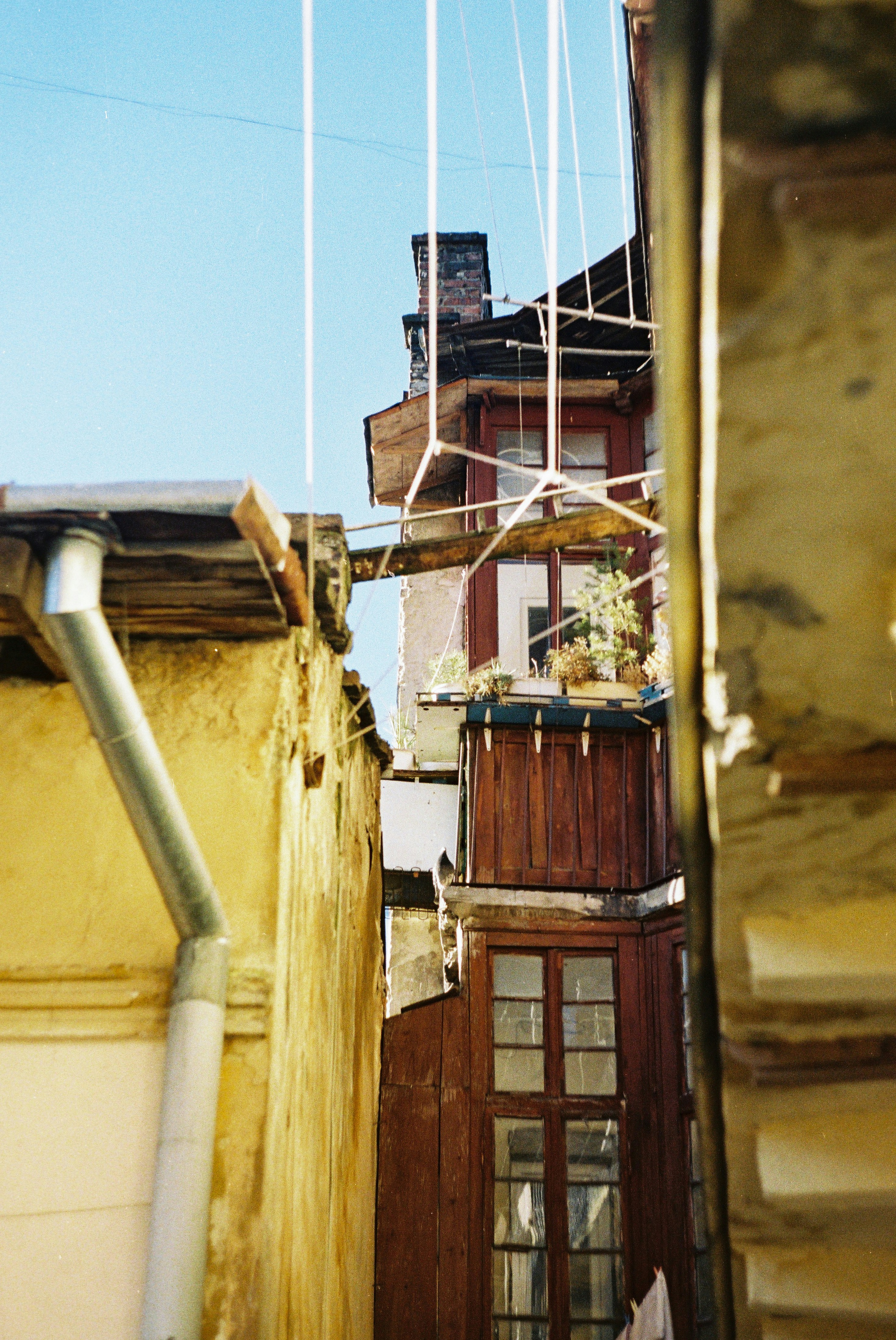 Photo by margarita_ua