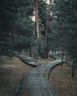 a wooden bridge with a boat on it surrounded by trees