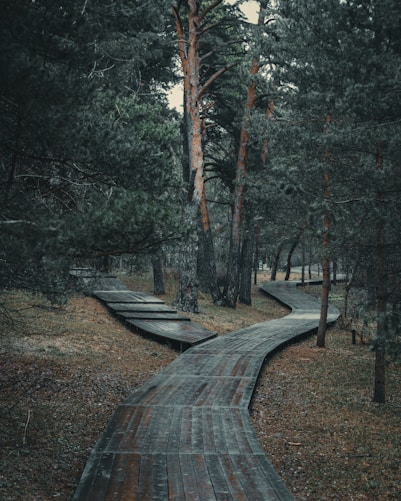 a wooden bridge with a boat on it surrounded by trees