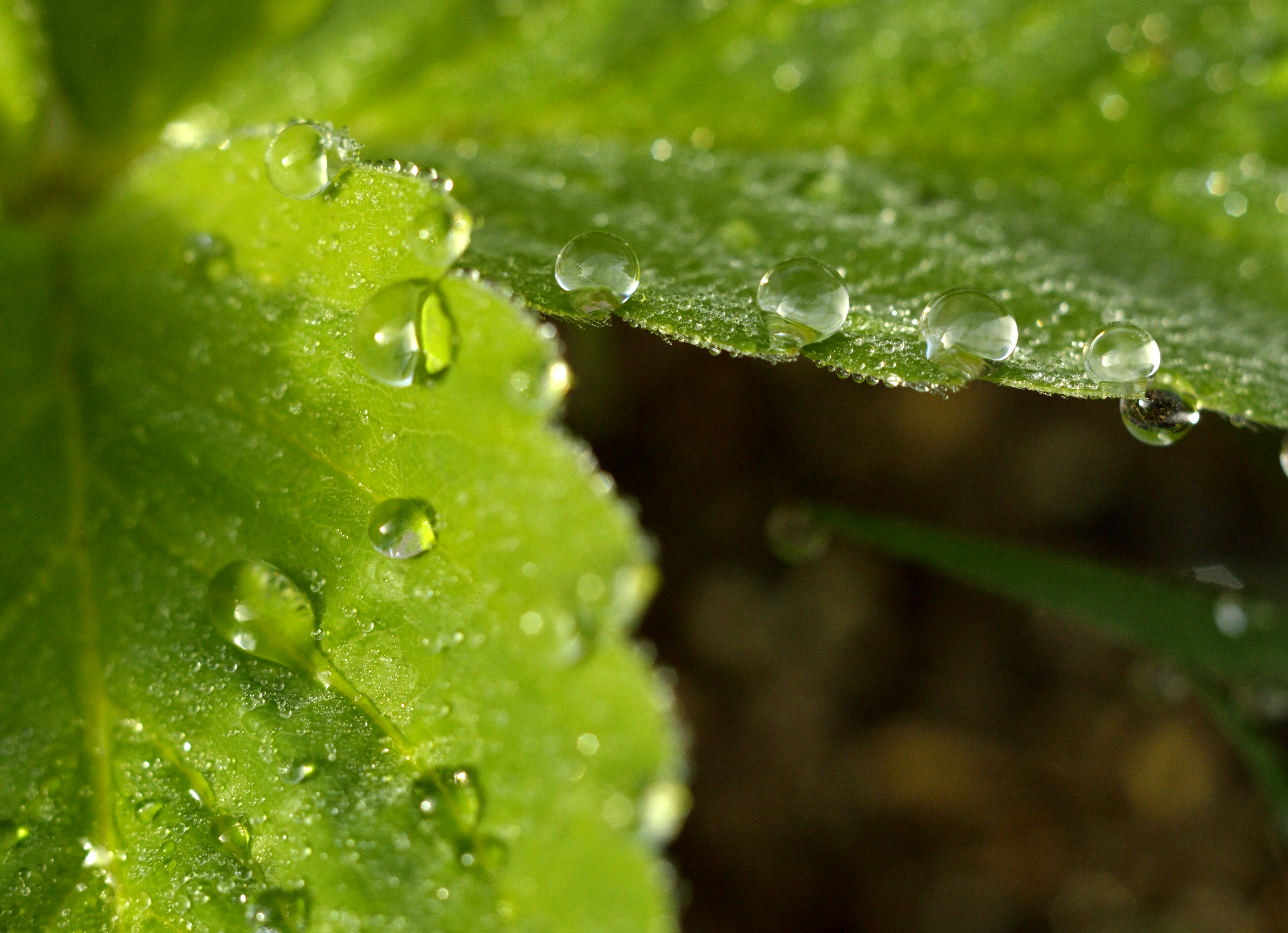 Photo by lakelandimages