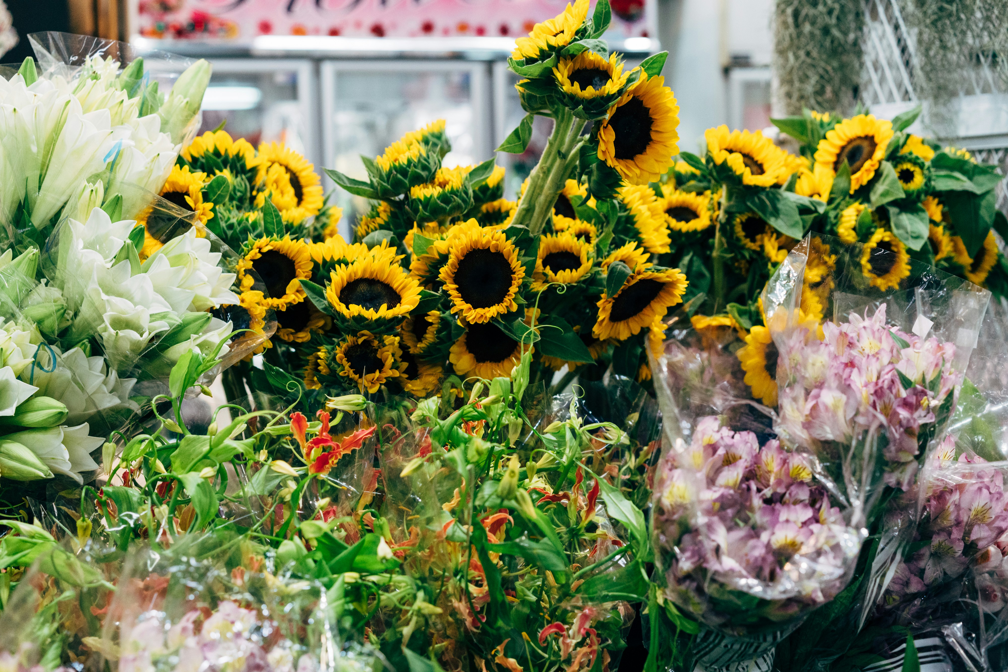 Photo by markuswinkler