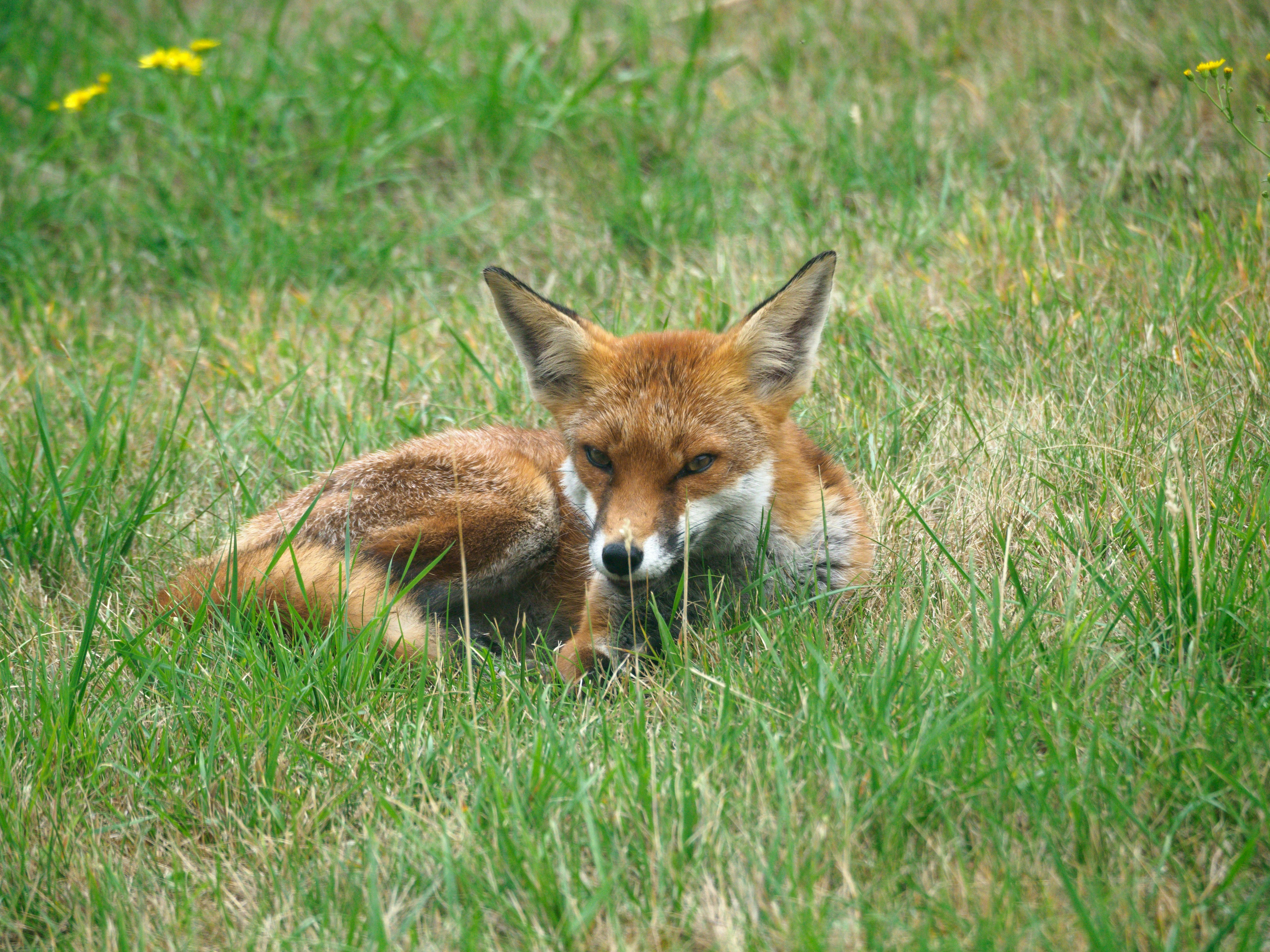 Photo by brett_jordan