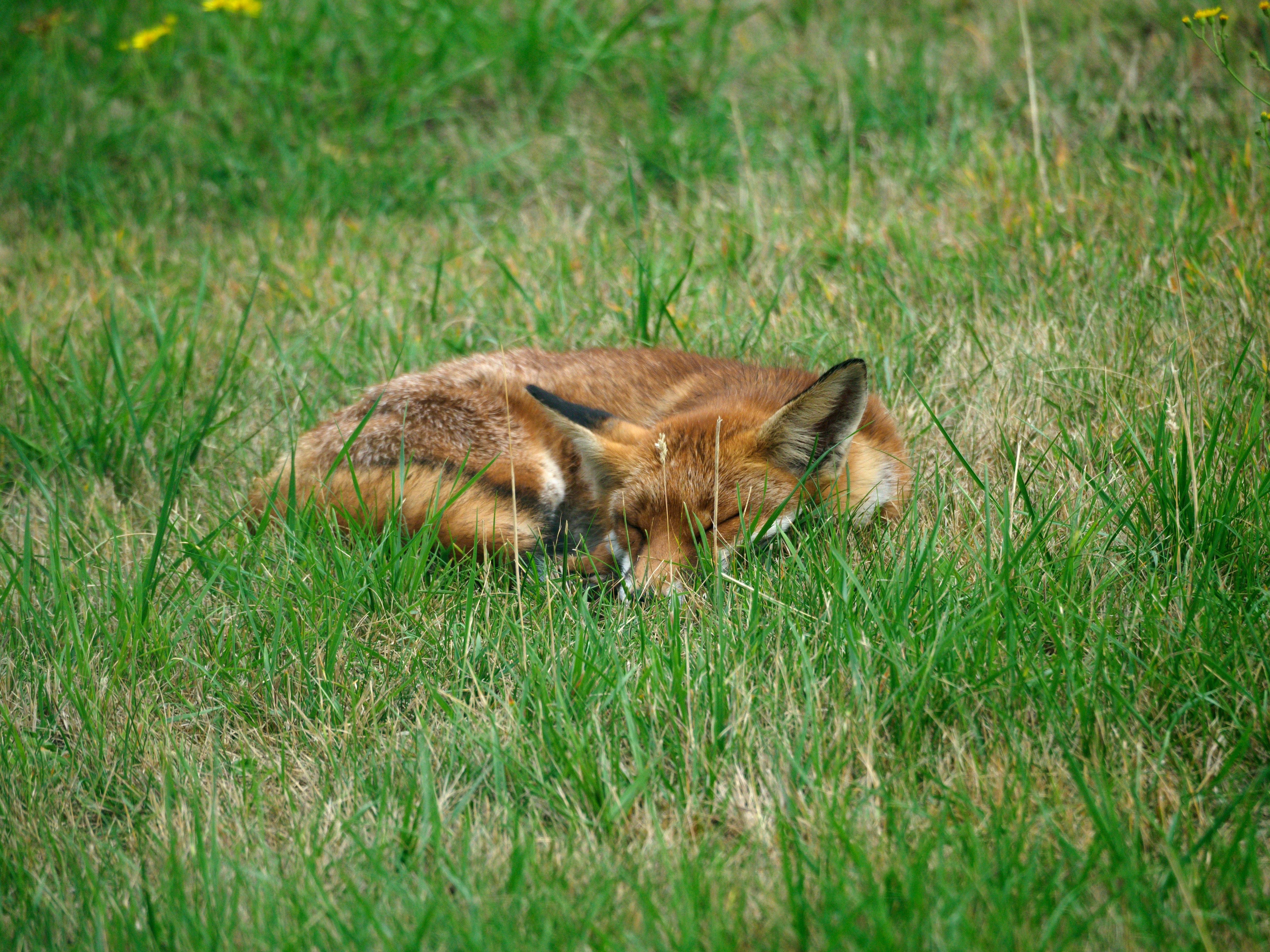 Photo by brett_jordan