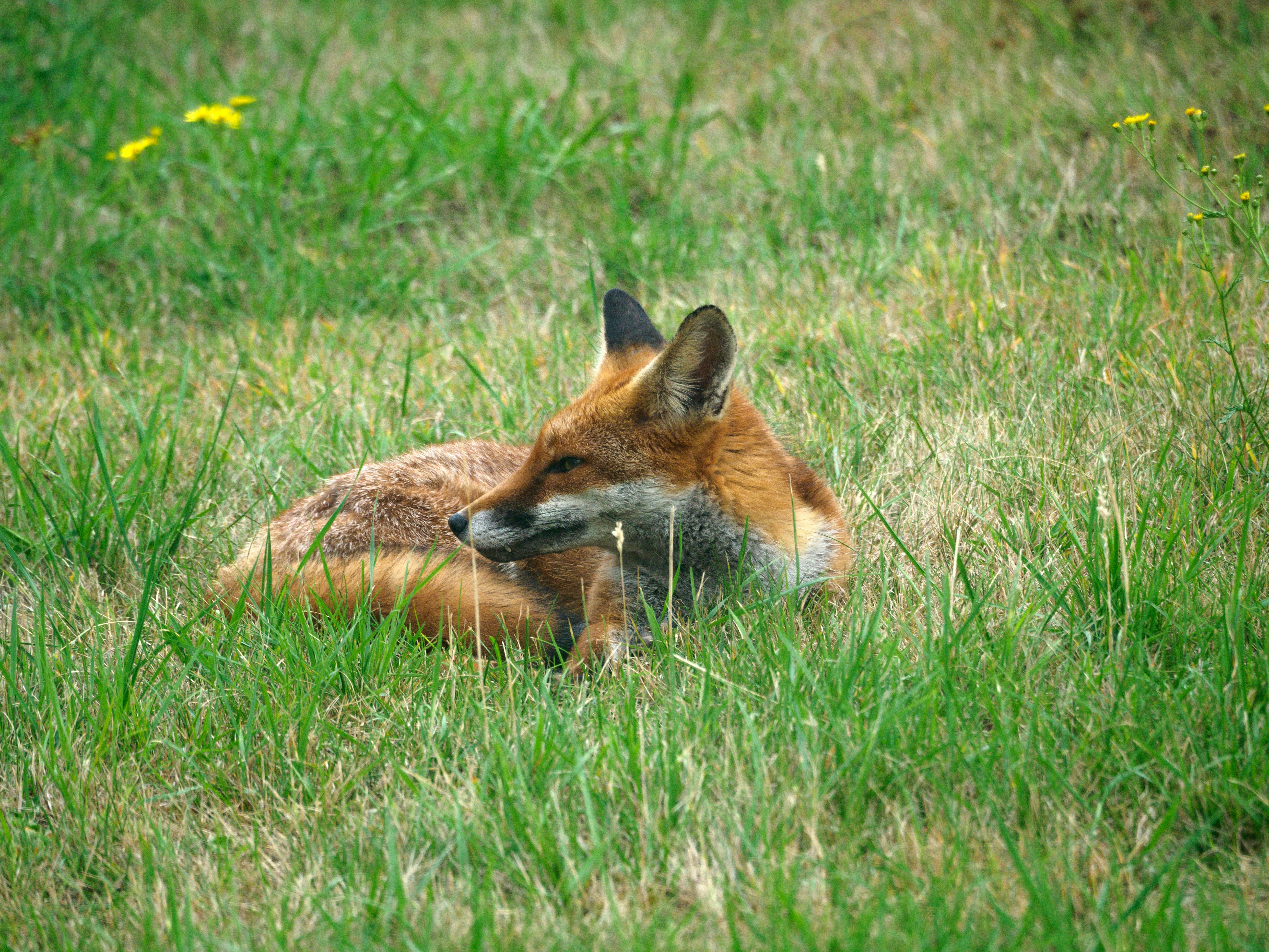 Photo by brett_jordan