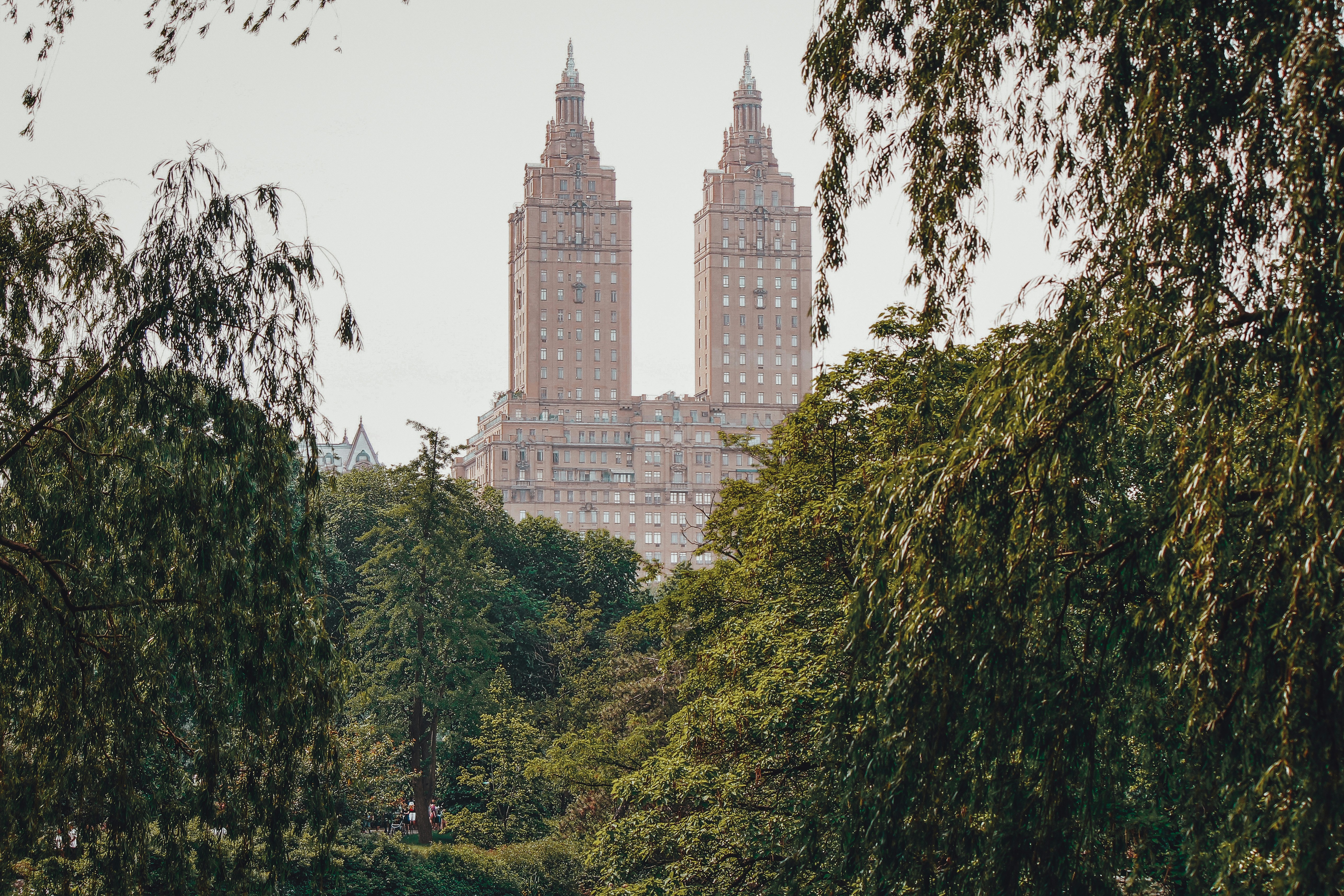a tall building behind trees