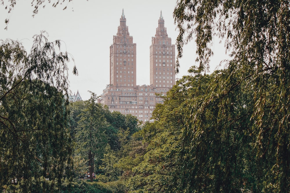 a tall building behind trees
