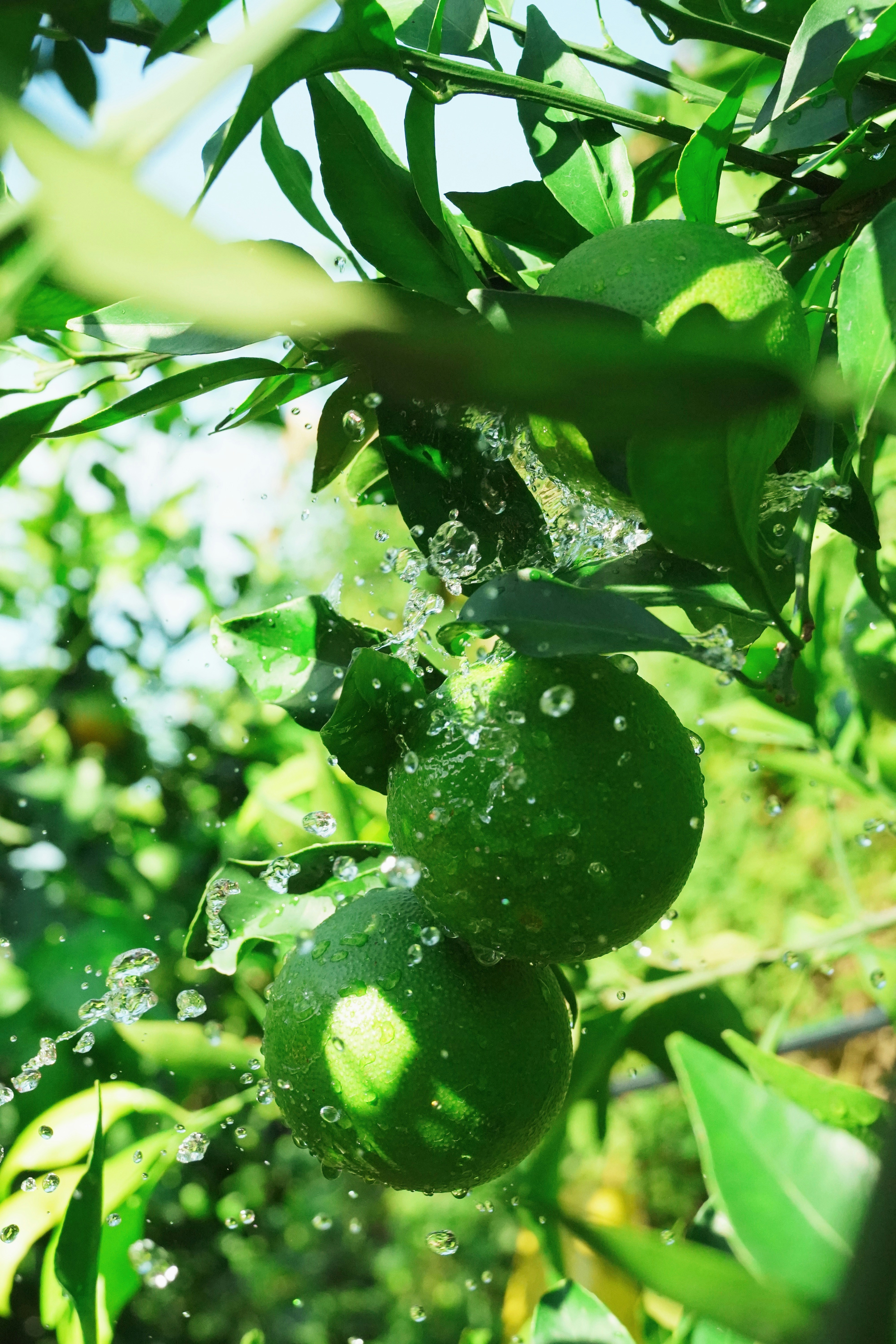 Photo by q15260639253