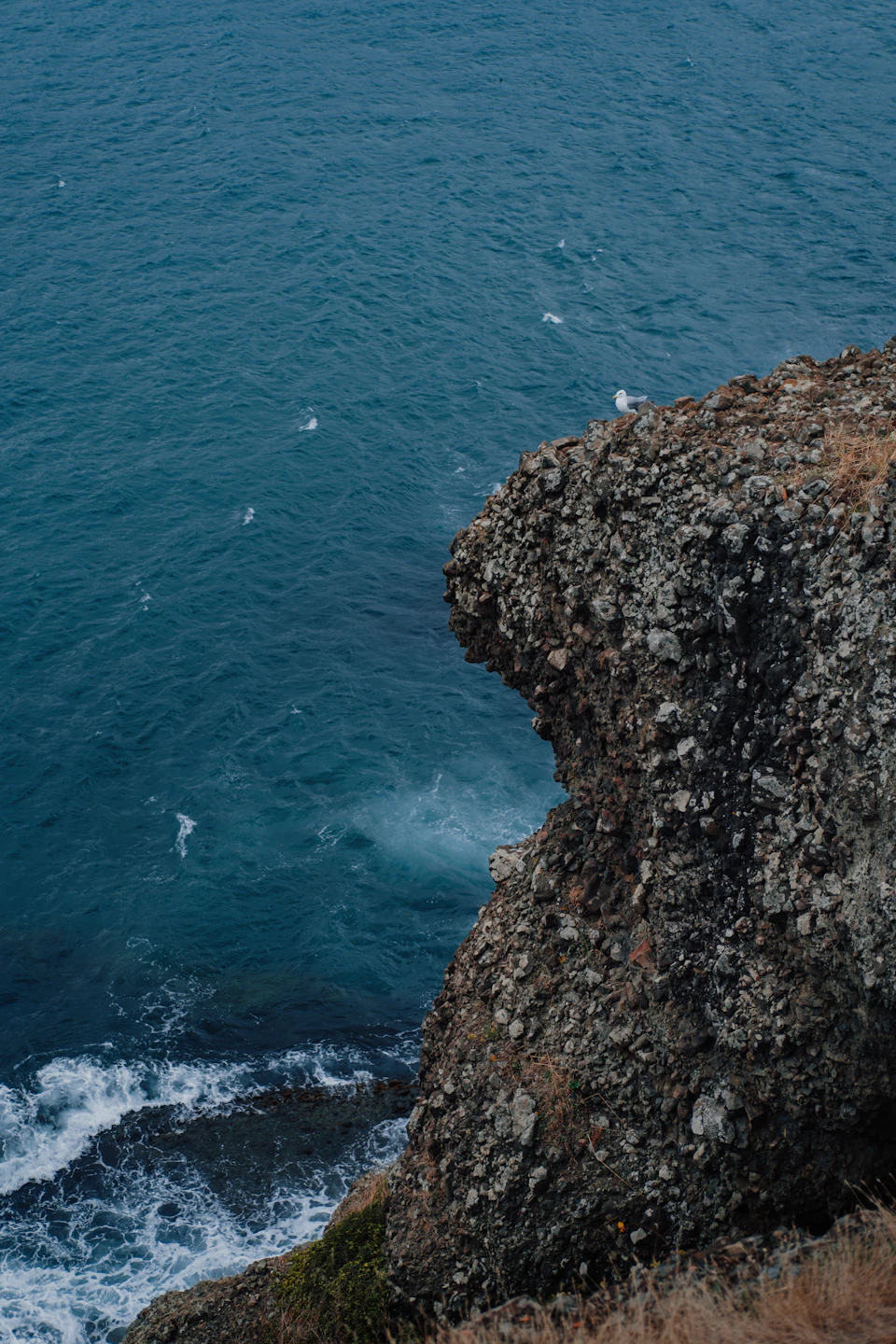 Rocky cliff overlooks ocean with small water body, surrounded by overcast sky and birds