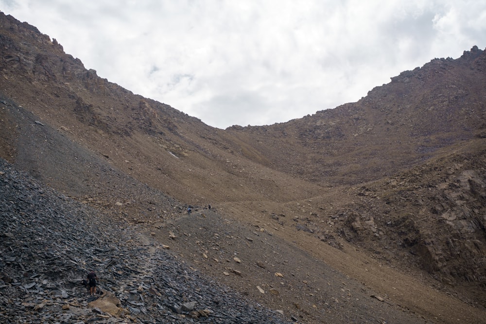 a rocky and grassy area