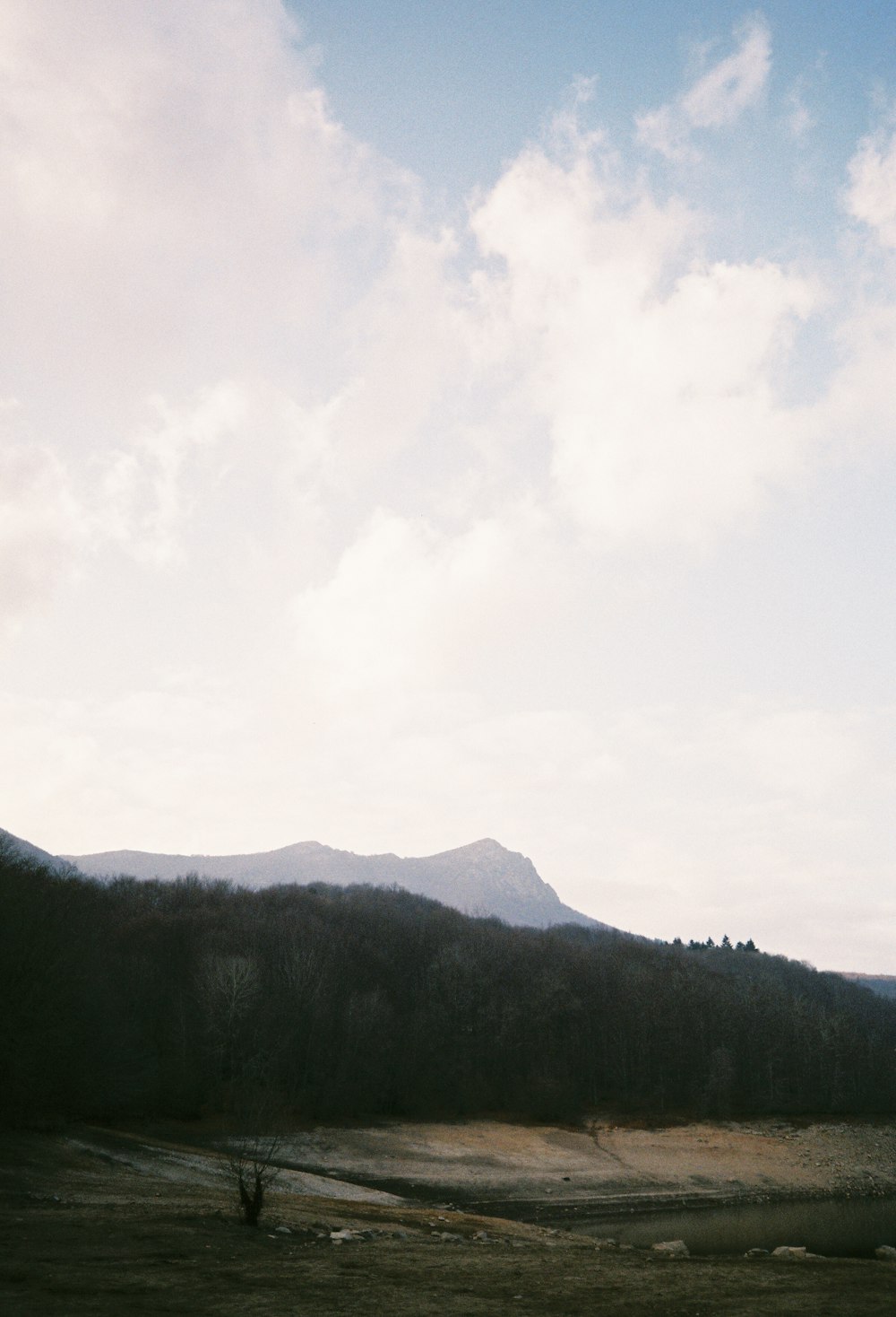 a landscape with trees and mountains in the background