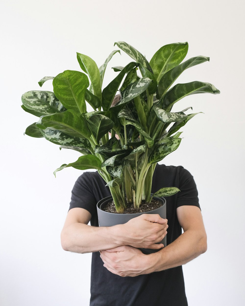 una persona che tiene una pianta in vaso