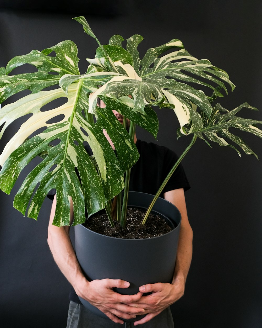 a person holding a potted plant