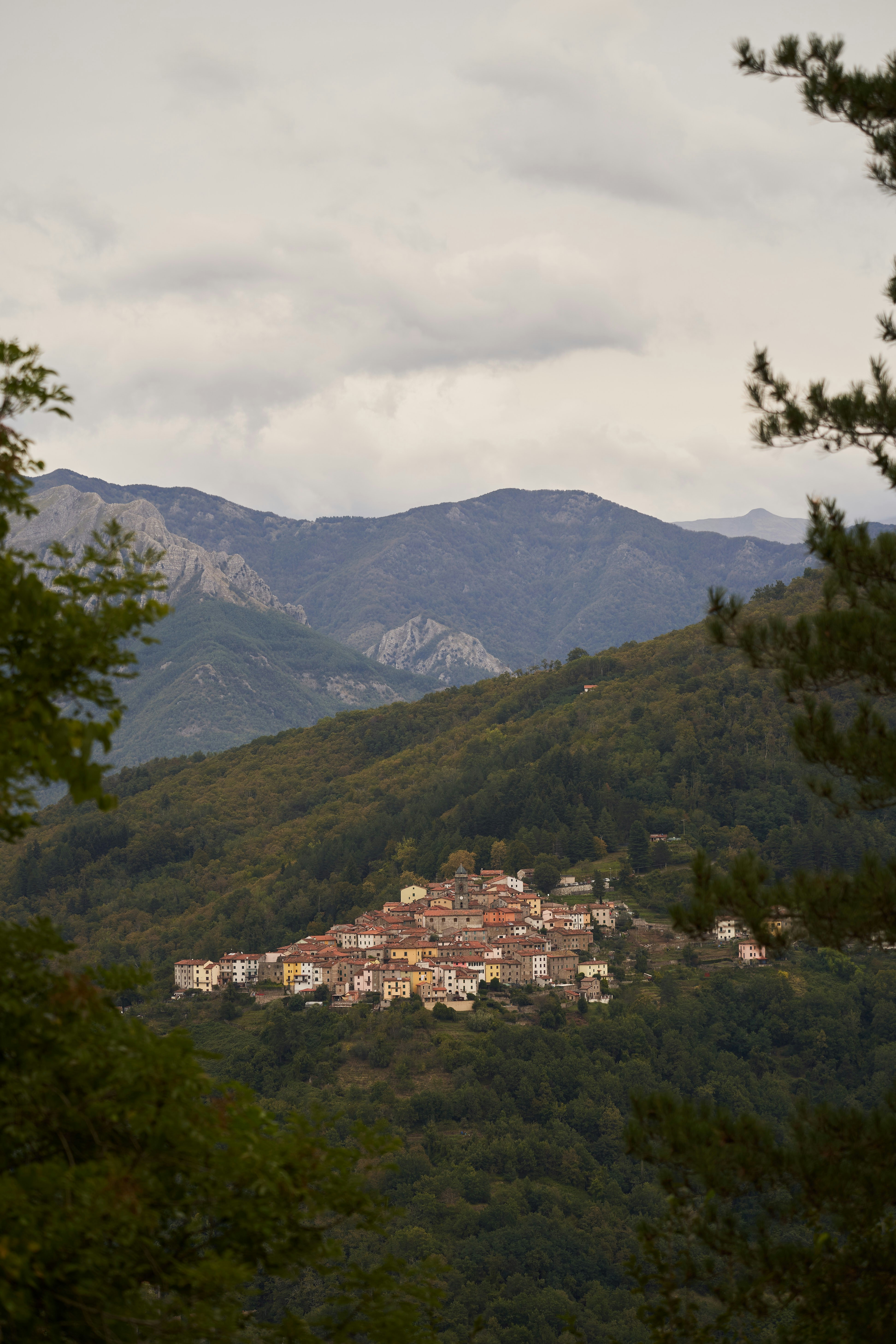 Photo by wolfgang_hasselmann