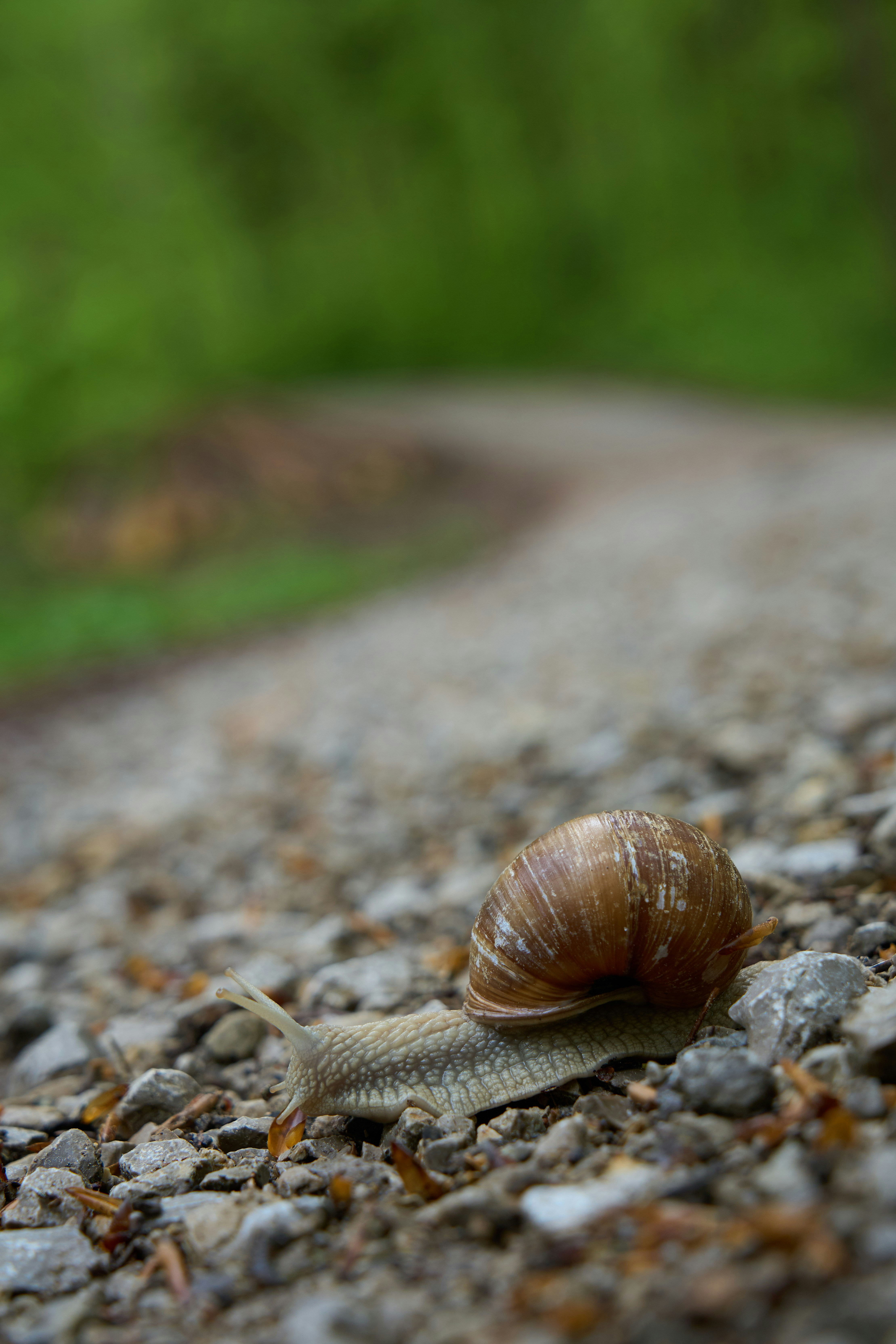 Photo by wolfgang_hasselmann