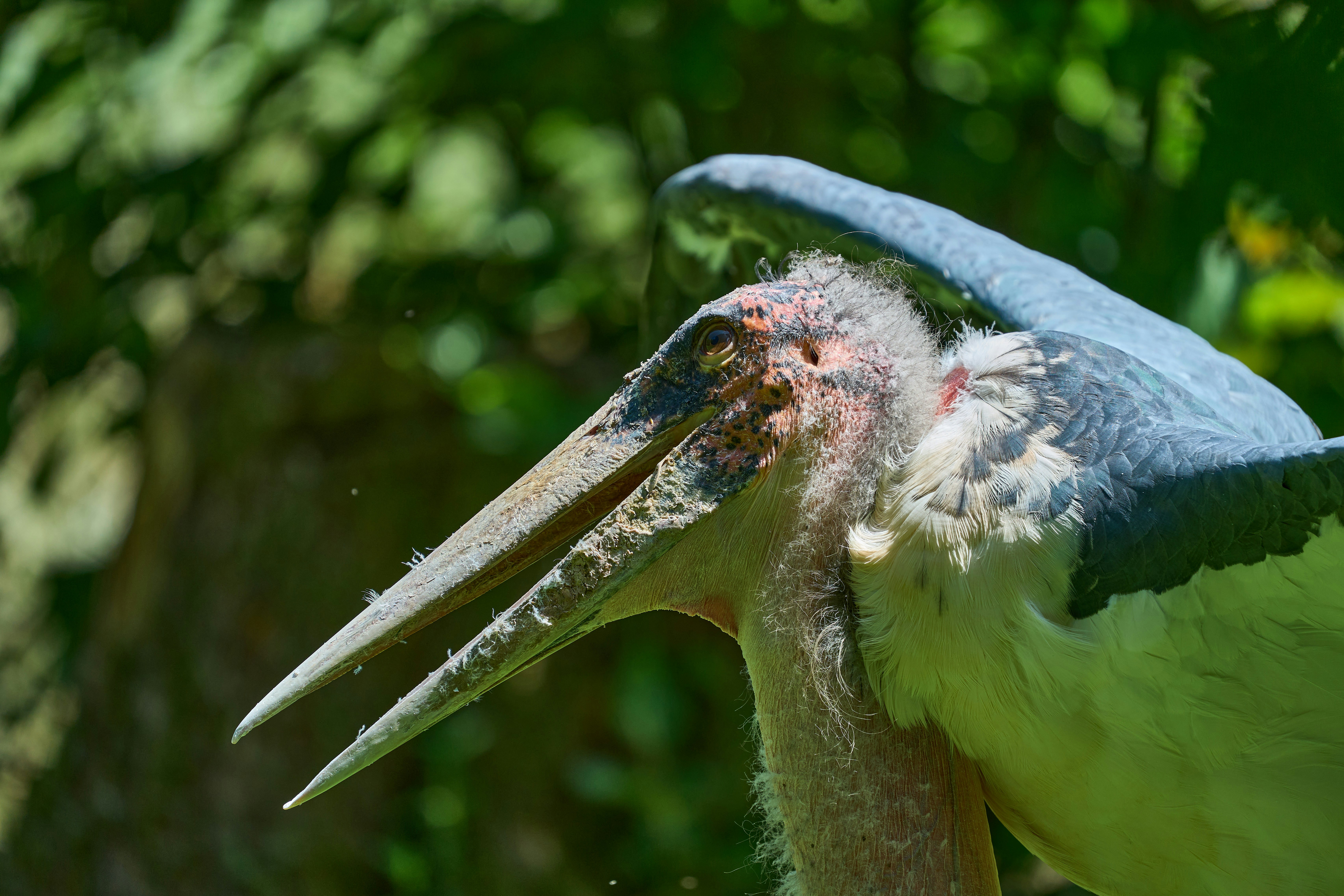 Photo by wolfgang_hasselmann