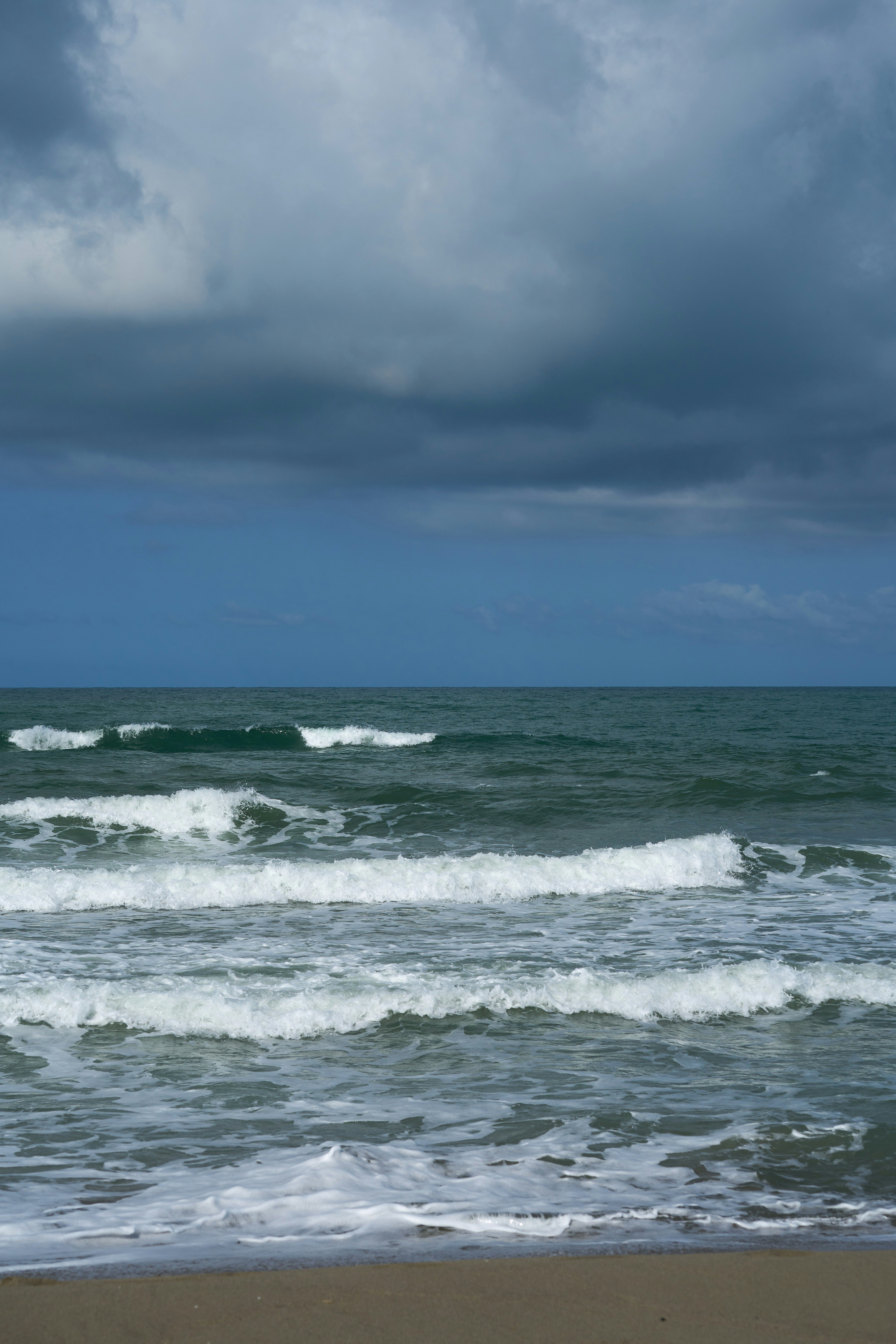 Photo by wolfgang_hasselmann