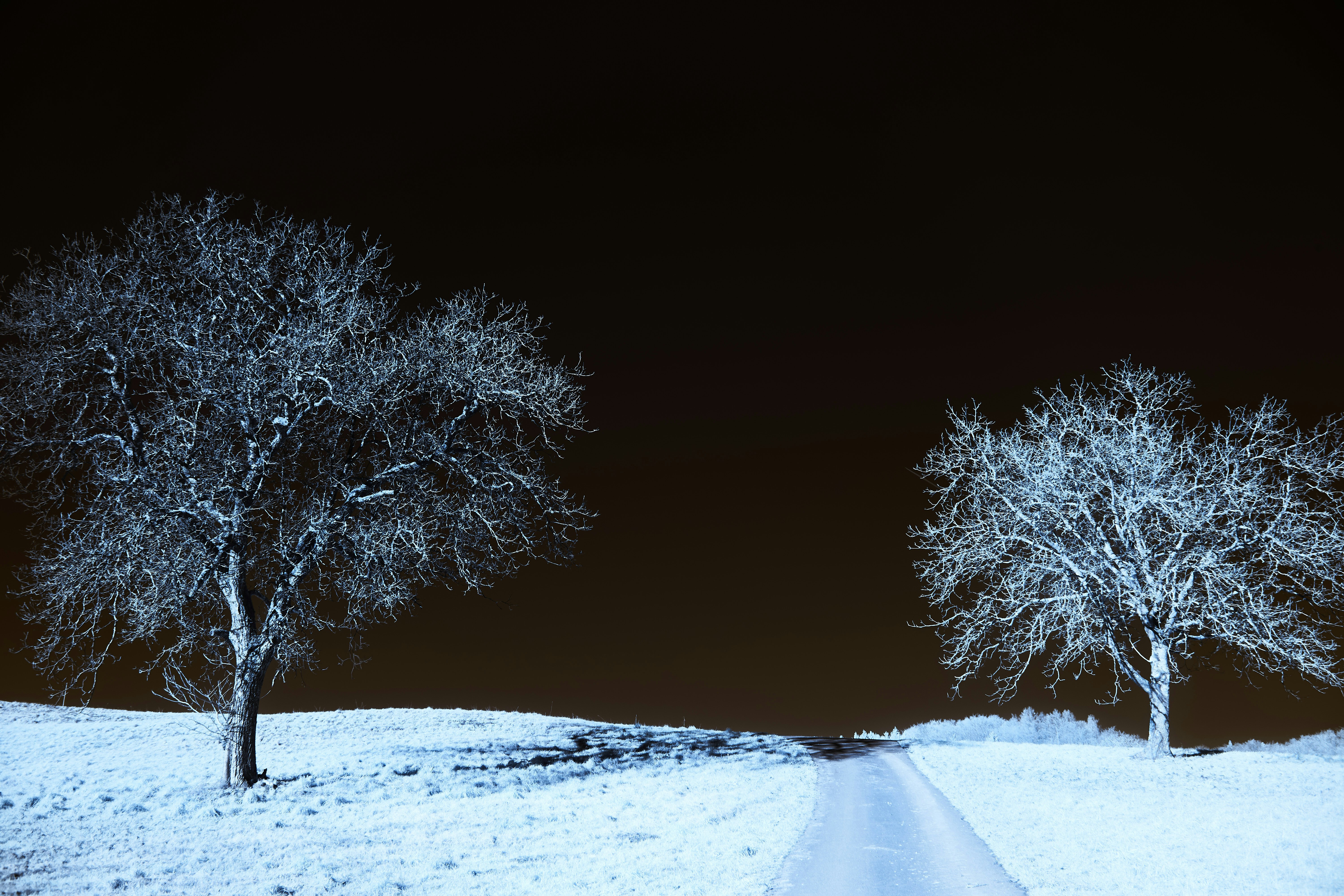 Photo by wolfgang_hasselmann