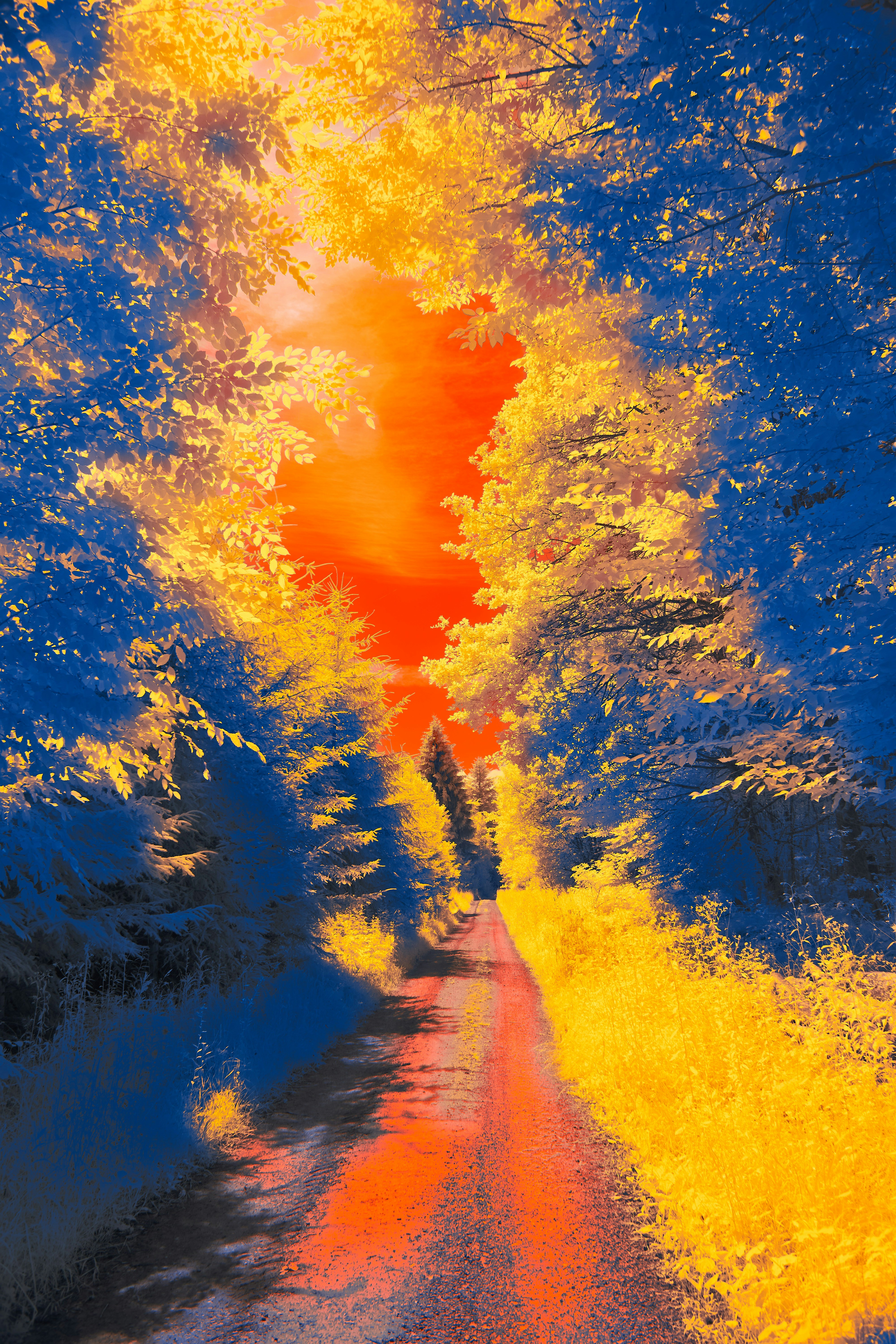 Photo by wolfgang_hasselmann