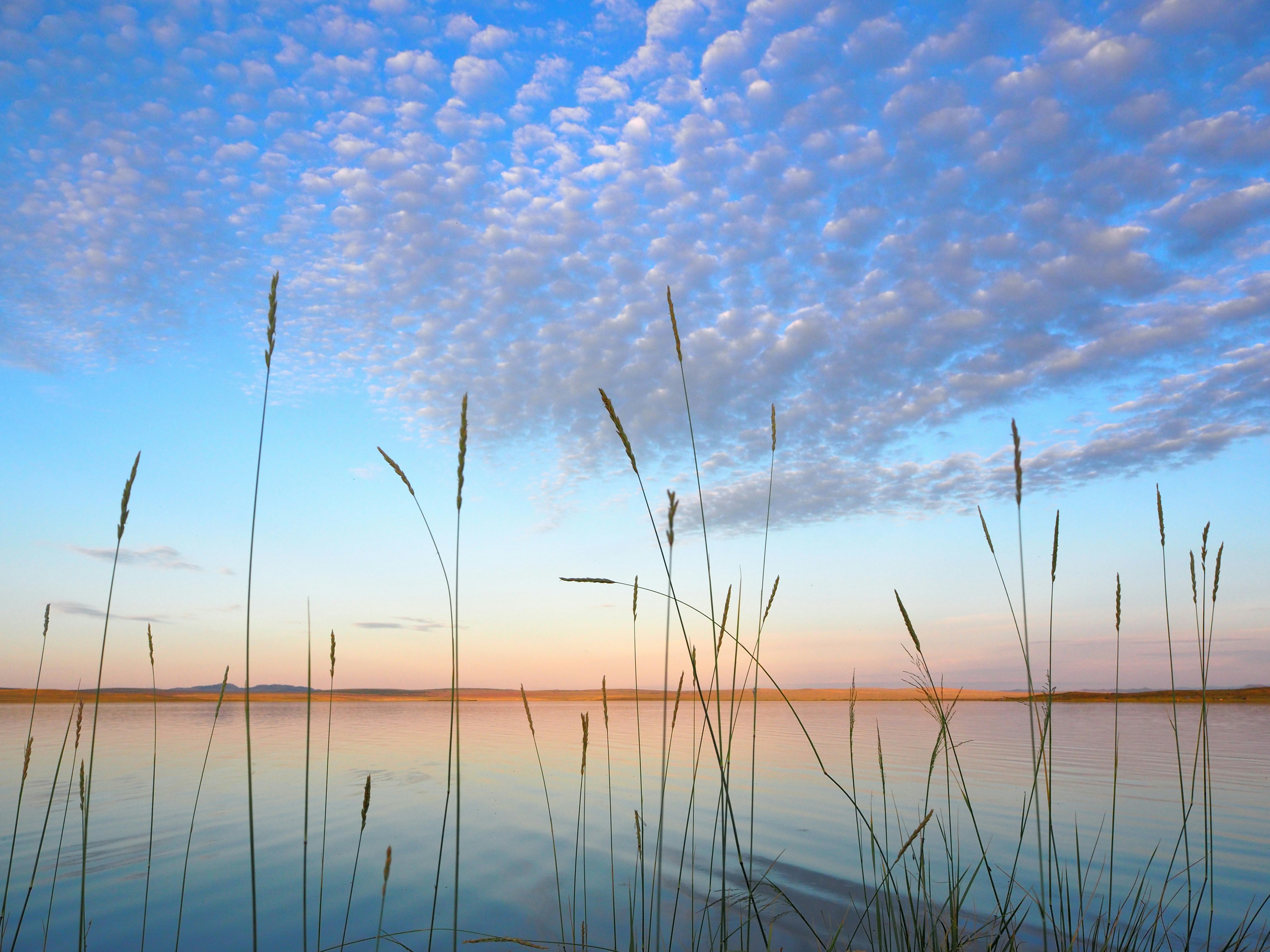 Photo by albert_kuular