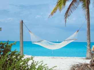a hammock on a beach