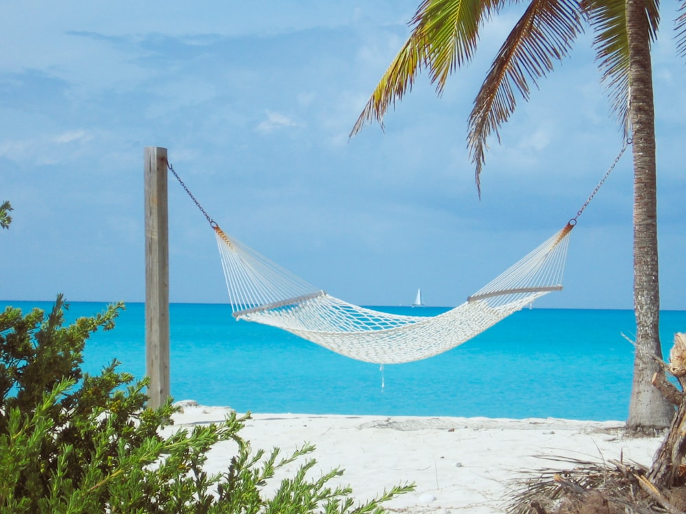 a hammock on a beach