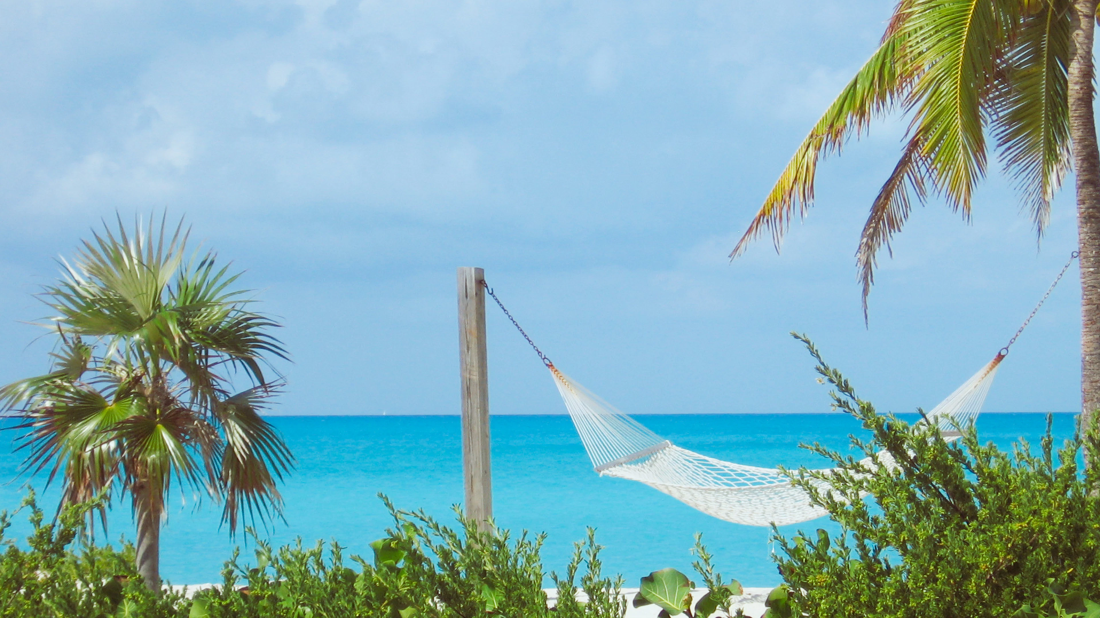 A hammock between palm trees above turquoise water