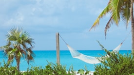 A tranquil beach scene with a clear blue ocean in the background. A white hammock is suspended between two palm trees, surrounded by lush green foliage. The sky is bright with a few clouds, adding to the serene atmosphere.