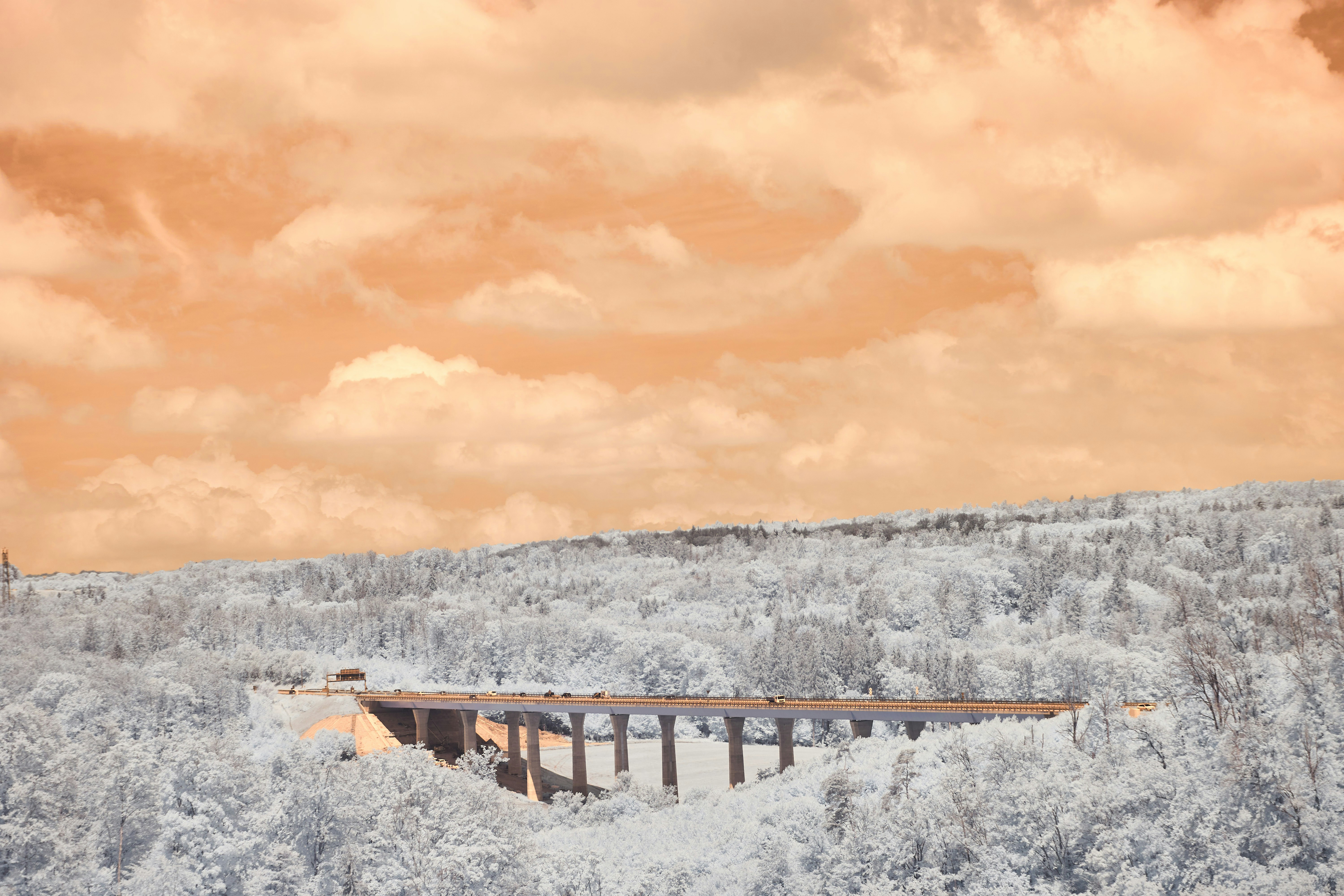 Photo by wolfgang_hasselmann