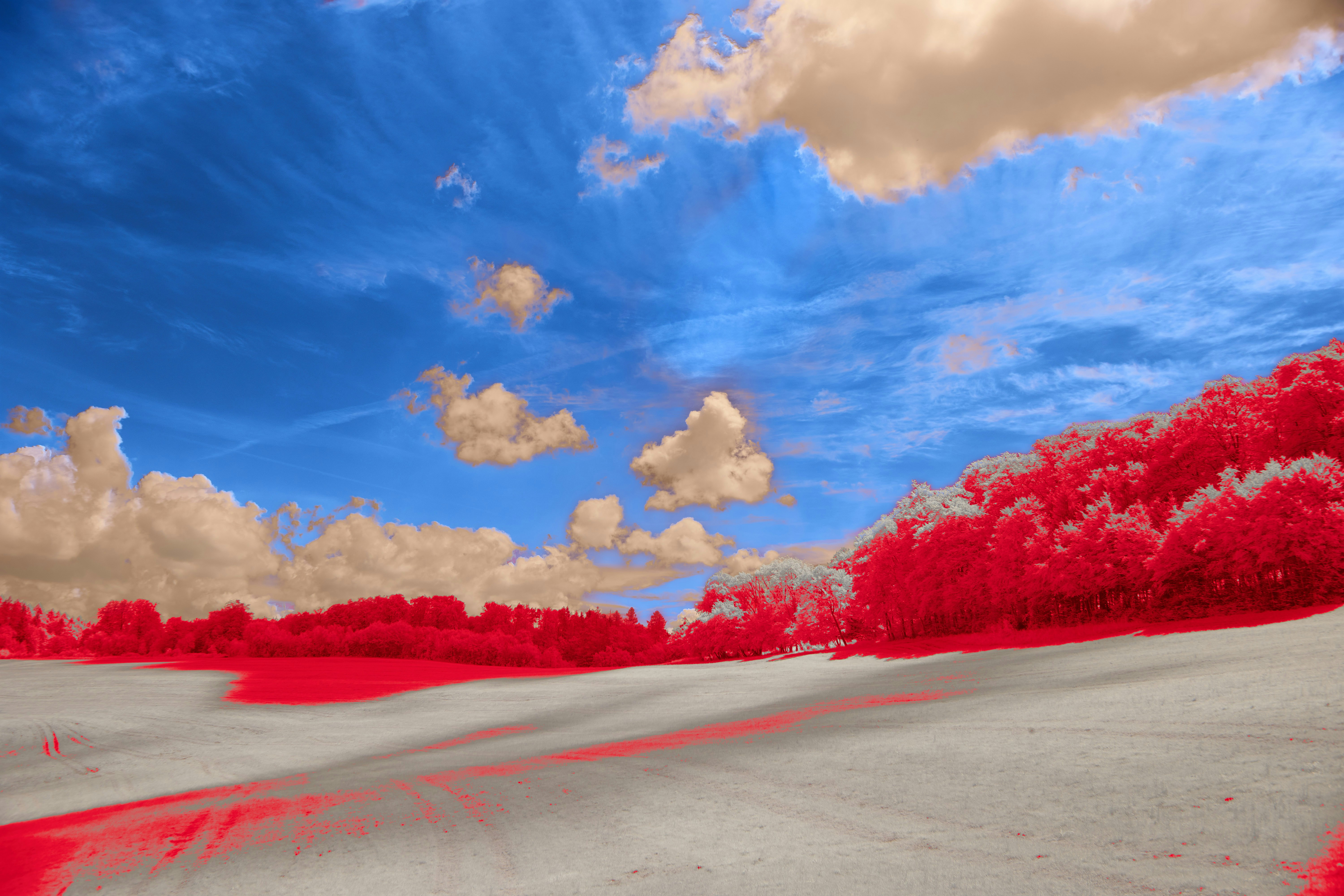 Photo by wolfgang_hasselmann