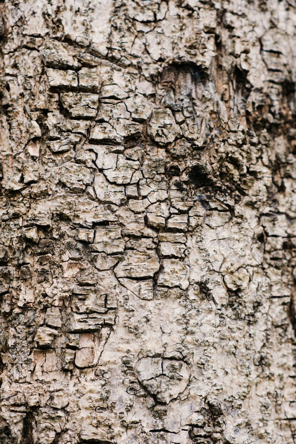 a close-up of a stone wall