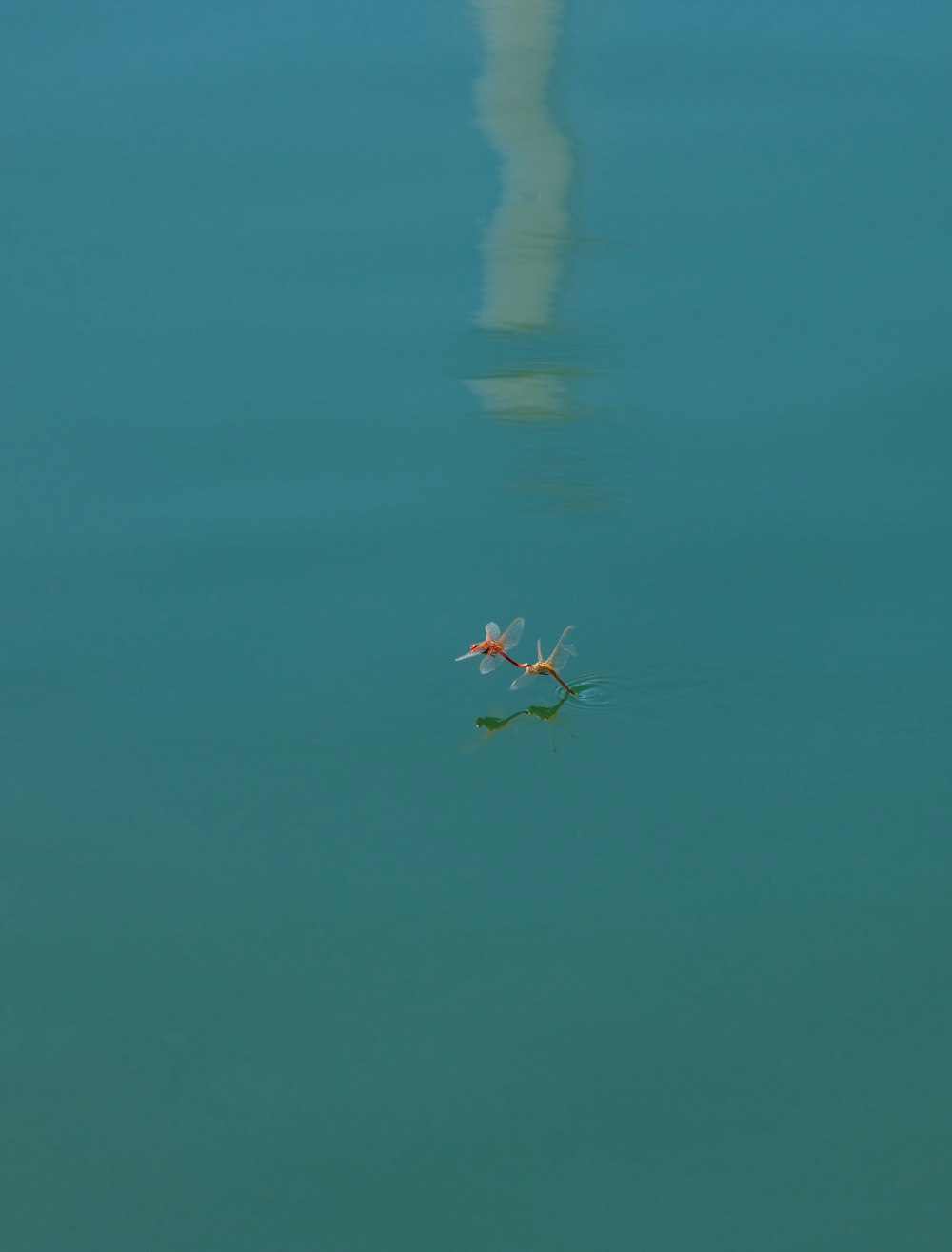 a helicopter flying in the sky