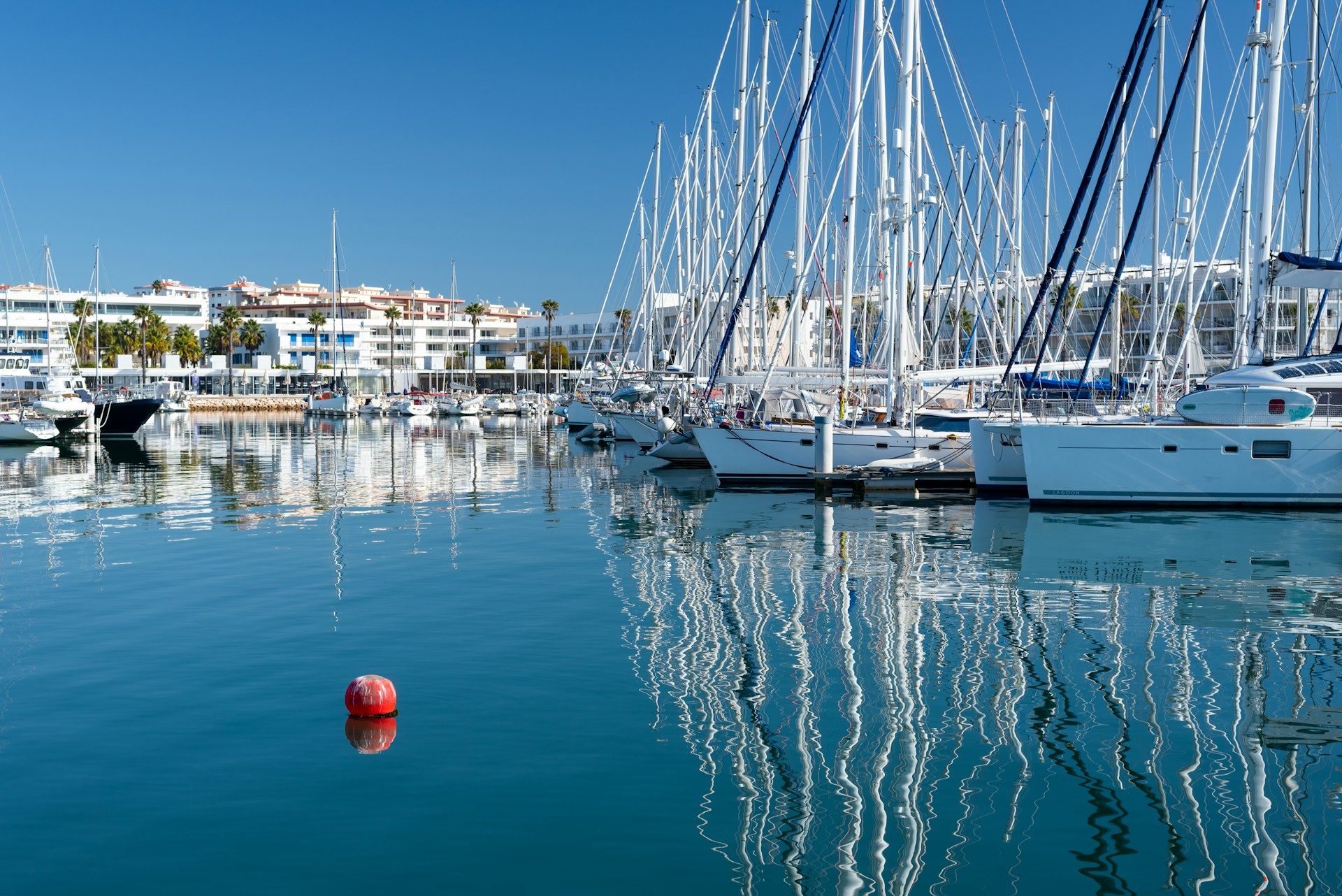 a group of boats sit in a harbor