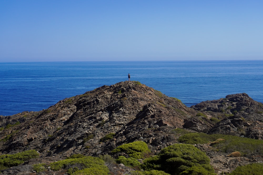 a person standing on a rock overlooking the ocean