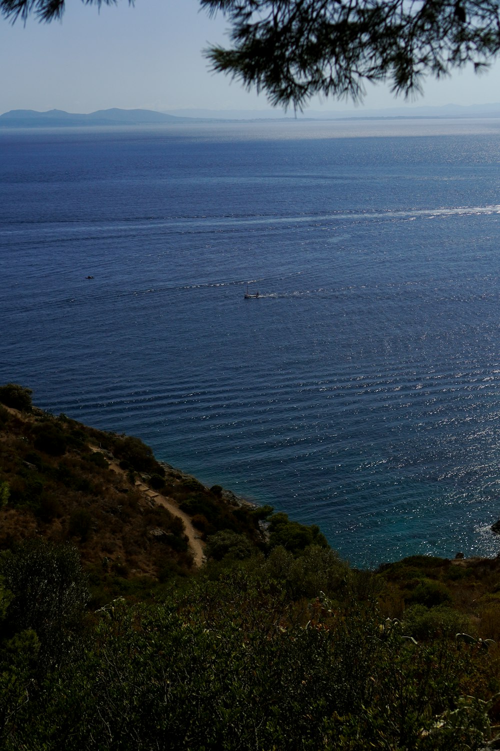 a body of water with trees on the side