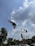 A pigeon is captured in mid-flight against a backdrop of a partly cloudy blue sky. Below, a row of trees lines a city street with traffic lights and vehicles. The image is taken from a low angle, showcasing urban infrastructure mixed with nature.