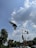 A pigeon is captured in mid-flight against a backdrop of a partly cloudy blue sky. Below, a row of trees lines a city street with traffic lights and vehicles. The image is taken from a low angle, showcasing urban infrastructure mixed with nature.