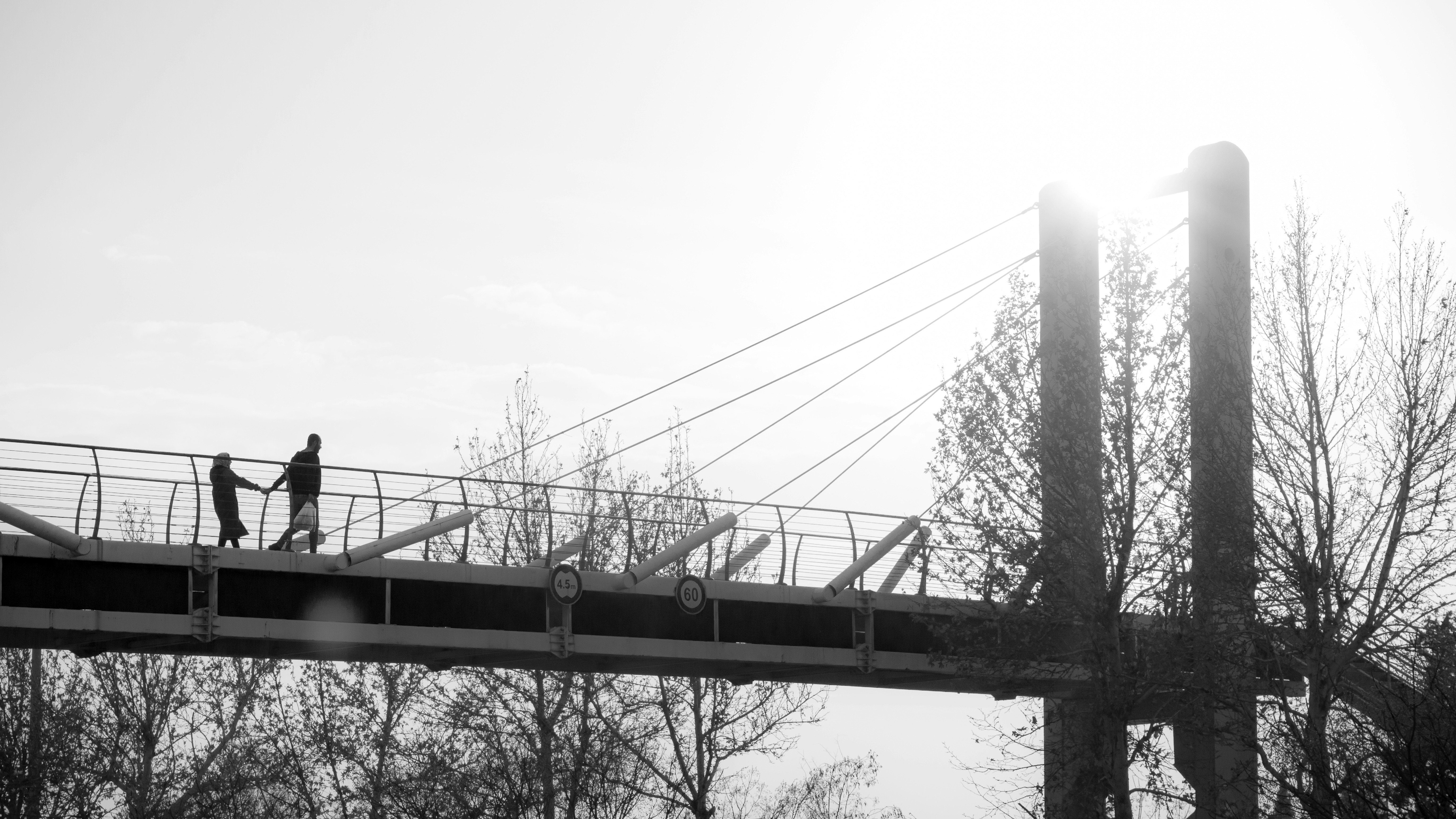 Photo by pouriamarhamat