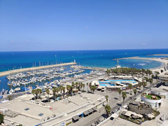 A coastal marina with numerous yachts and sailboats docked in calm waters. The scene includes sandy beaches nearby and a curved pier stretching into the sea. Palm trees border the area, and a few buildings are visible along the waterfront. The overall environment appears serene and sunny with clear blue skies.