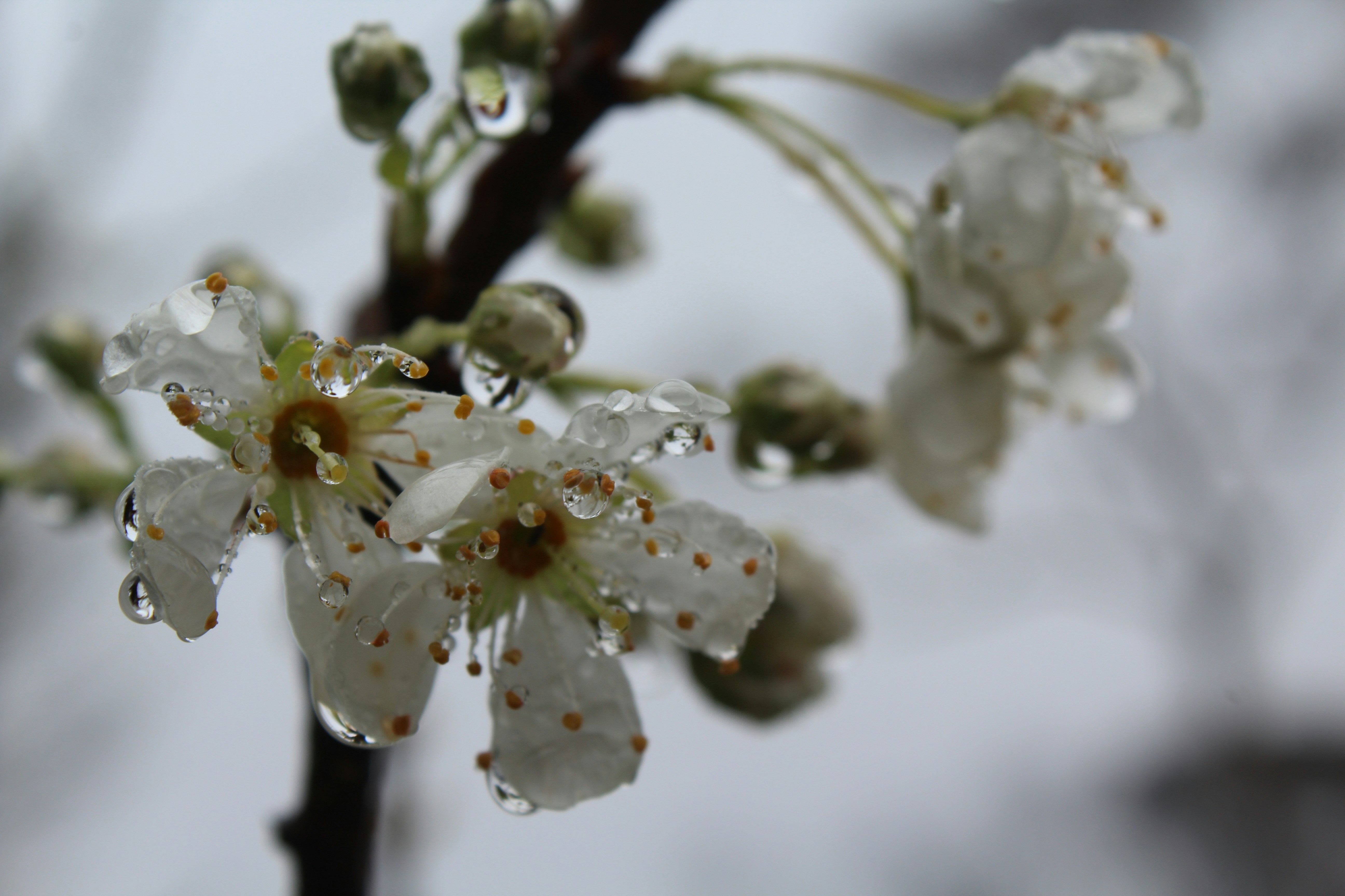 Photo by light_and_hope