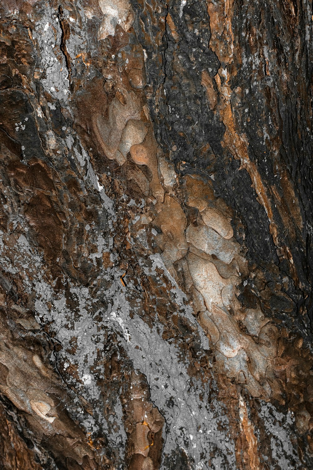 a close up of a rock