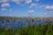 A scenic view of a wetland area filled with numerous tall, dead tree stumps rising out of the water, surrounded by lush green grasses. The sky is bright blue with scattered white clouds creating a peaceful and serene atmosphere.