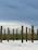 Wooden poles are standing upright in the sand, set against a backdrop of tall grass and a cloudy sky. The arrangement of the poles appears intentional, possibly part of a construction project or art installation.