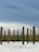 Wooden poles are standing upright in the sand, set against a backdrop of tall grass and a cloudy sky. The arrangement of the poles appears intentional, possibly part of a construction project or art installation.
