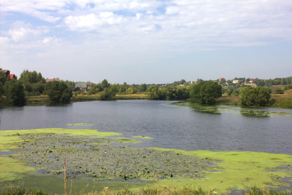 a body of water with grass and trees around it